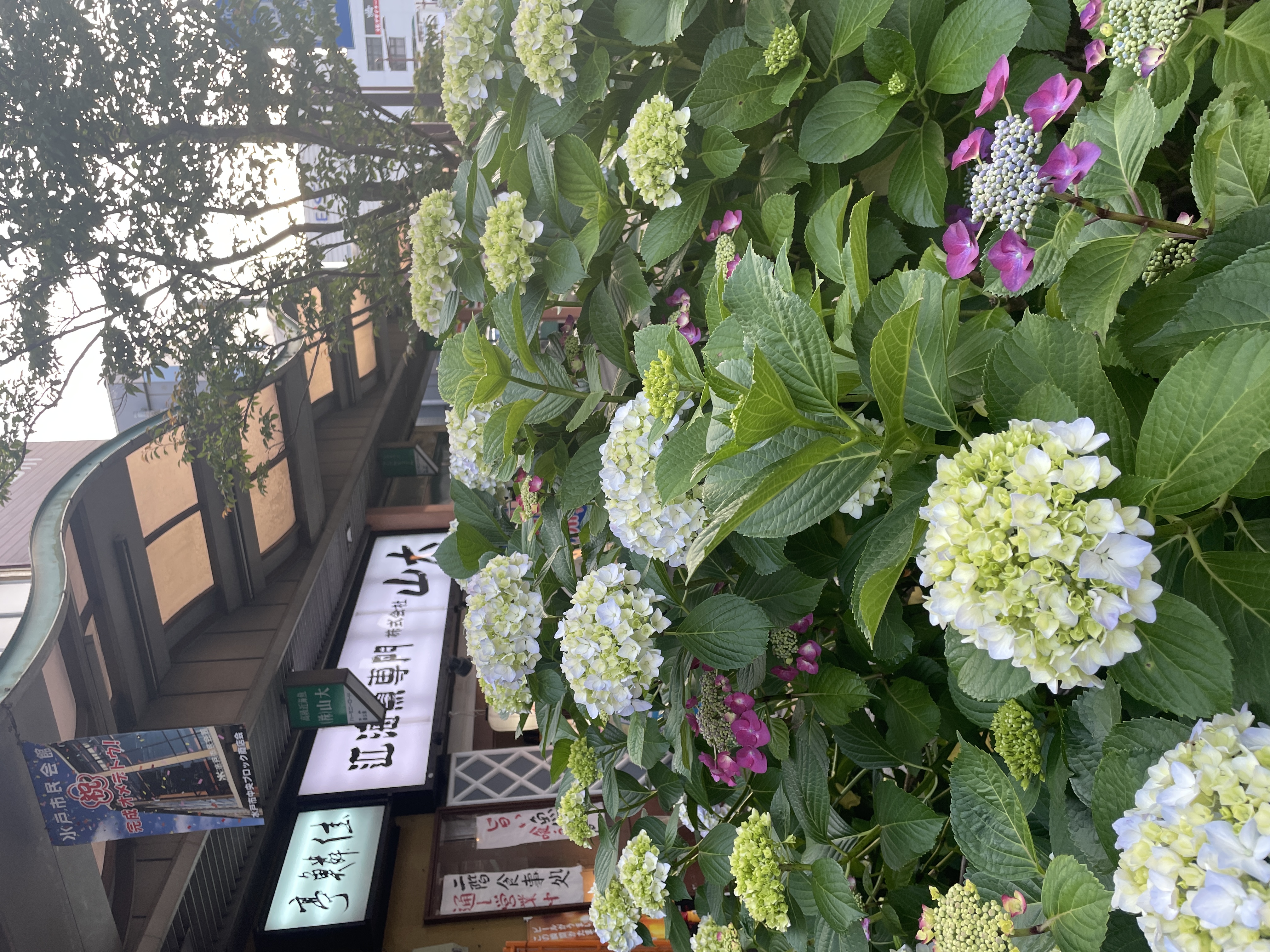 ダウンロード (7)